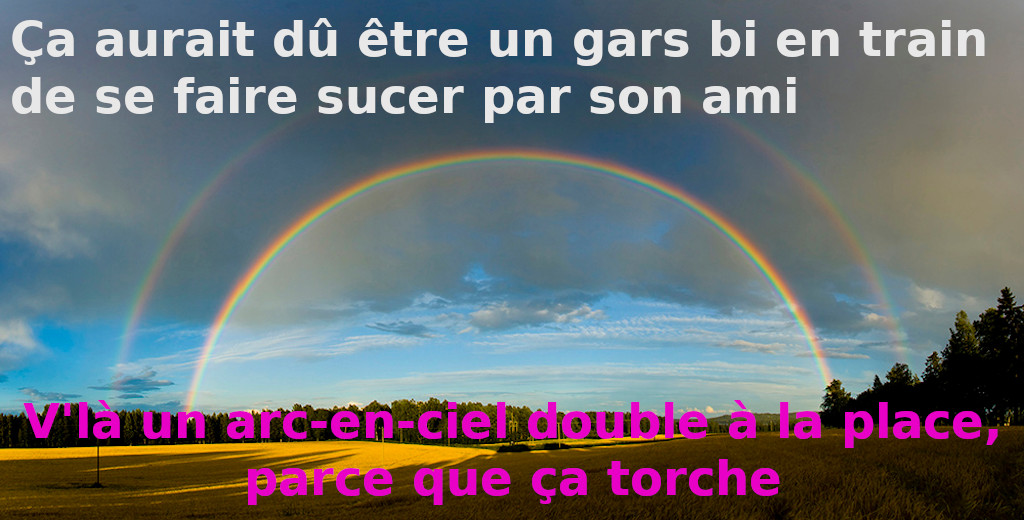 "Ça aurait dû être un gars bi en train de se faire sucer par son ami. V'là un arc-en-ciel double à la place, parce que ça torche."