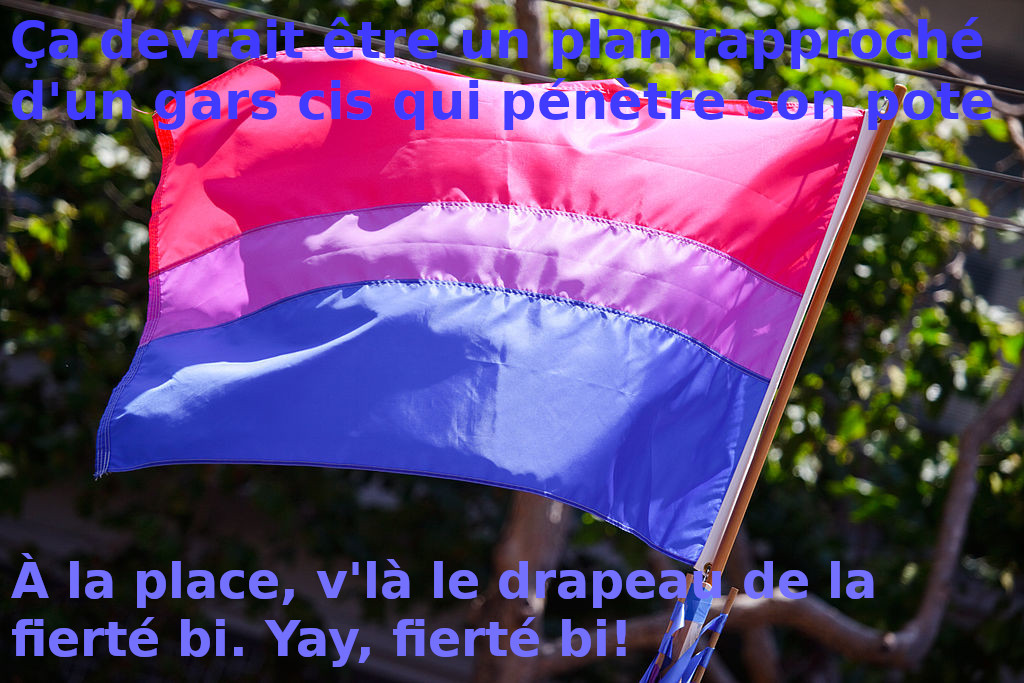 "Ça devrait être un plan rapproché d'un gars qui pénètre son pote. À la place, v'là le drapeau de la fierté bi. Yay, fierté bi!"