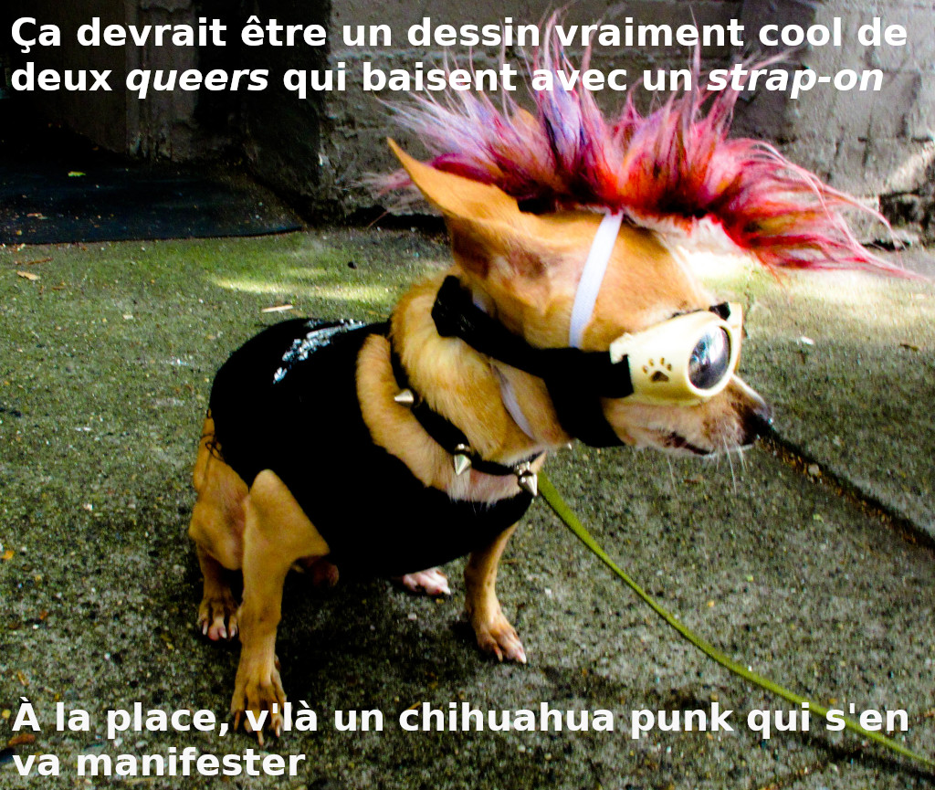 "Ça devrait être un dessin vraiment cool de deux queers qui baisent avec un strap-on. À la place, v'là un chihuahua punk qui s'en va manifester."